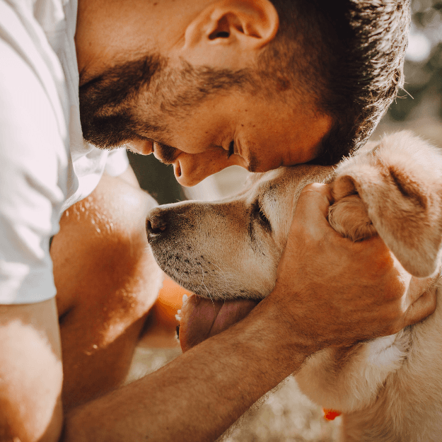 Socialisation et familiarisation